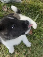 processed/9e681773-df15-4989-8c41-8322b5373e72/listing/e6ffbd56-15dc-41ad-b290-0de9aee0b5bc/0d505197-f71f-4b17-b888-f7c4878e9727