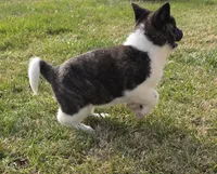 processed/9e681773-df15-4989-8c41-8322b5373e72/listing/e6ffbd56-15dc-41ad-b290-0de9aee0b5bc/65b0e65f-127a-48f3-a8e7-40648d0548eb