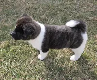 processed/9e681773-df15-4989-8c41-8322b5373e72/listing/e6ffbd56-15dc-41ad-b290-0de9aee0b5bc/82217835-c777-4415-b39a-65bc20219980