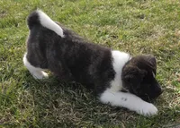 processed/9e681773-df15-4989-8c41-8322b5373e72/listing/e6ffbd56-15dc-41ad-b290-0de9aee0b5bc/e38aa548-ef66-44b7-a2cb-781af212ad5b