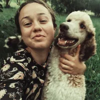 Upcoming Litter, a  Poodle - Standard  for sale in Verona, MO – Photo 9 of 10