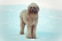 processed/9e6a9ff6-6275-433b-ab5a-cd89e11f8197/listing/ece499c2-c2ce-4a62-b46b-a60a298a75fb/59fabe69-e33d-49ec-815a-7a094f9089ef