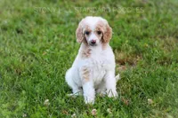 processed/9e6a9ff6-6275-433b-ab5a-cd89e11f8197/listing/f563c16e-6aee-4f48-9439-e6cfb92ef082/0c2c0157-d2da-42f1-a9db-6e9550f35d49