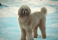 processed/9e6a9ff6-6275-433b-ab5a-cd89e11f8197/listing/f563c16e-6aee-4f48-9439-e6cfb92ef082/11540db4-123f-41c5-8449-a257896257bf