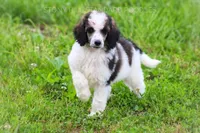 processed/9e6a9ff6-6275-433b-ab5a-cd89e11f8197/listing/f563c16e-6aee-4f48-9439-e6cfb92ef082/58f39e69-846e-4bfc-9f0d-b7344846fe2e