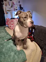 processed/9e6b7db6-9a8a-4afc-871d-b69765e26768/facility/41755d56-fcb4-43f9-bf94-fa17d8469ce7