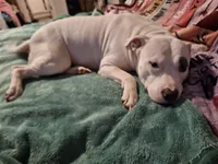 processed/9e6b7db6-9a8a-4afc-871d-b69765e26768/facility/ae96e346-a60c-49c2-b166-b567e942d759