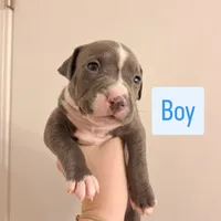 processed/9e6b7db6-9a8a-4afc-871d-b69765e26768/listing/77d0bd45-3b5c-4ddb-b5b5-273b8e6d2c08/1463d9d7-311f-4a7e-a072-ce5e15832ee0