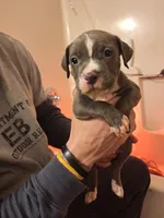 processed/9e6b7db6-9a8a-4afc-871d-b69765e26768/listing/77d0bd45-3b5c-4ddb-b5b5-273b8e6d2c08/4c5cc742-07d5-41d6-9e0b-4cb35ba37cc1