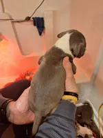 processed/9e6b7db6-9a8a-4afc-871d-b69765e26768/listing/77d0bd45-3b5c-4ddb-b5b5-273b8e6d2c08/ed0cedf8-bc6b-4a65-a4fe-622253e24633