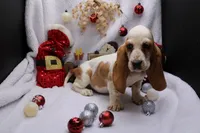 processed/9e6cb589-a66f-4f74-b7de-ec4f6e49bef0/listing/14dbf909-37a1-4626-b086-9b2c7e25a0eb/40517f73-631b-423c-a8e6-7c915b2c5e40