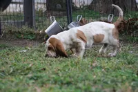 processed/9e6cb589-a66f-4f74-b7de-ec4f6e49bef0/listing/14dbf909-37a1-4626-b086-9b2c7e25a0eb/6d1efec1-c6a9-456b-8d50-a4b67b9299d6