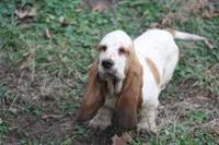 processed/9e6cb589-a66f-4f74-b7de-ec4f6e49bef0/listing/14dbf909-37a1-4626-b086-9b2c7e25a0eb/8d084f3e-c8b2-43e2-8907-55bd45086e45