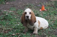 processed/9e6cb589-a66f-4f74-b7de-ec4f6e49bef0/listing/14dbf909-37a1-4626-b086-9b2c7e25a0eb/90e1ac4c-6be0-4679-a490-3e138051dc16