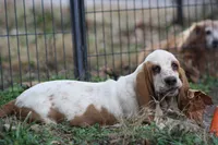 processed/9e6cb589-a66f-4f74-b7de-ec4f6e49bef0/listing/14dbf909-37a1-4626-b086-9b2c7e25a0eb/c7cf82d7-61f1-489b-8eb7-be0c72622cce