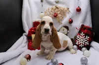 processed/9e6cb589-a66f-4f74-b7de-ec4f6e49bef0/listing/14dbf909-37a1-4626-b086-9b2c7e25a0eb/d1000435-d1f1-4e9d-bb32-d93f0b132943