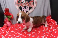 processed/9e6cb589-a66f-4f74-b7de-ec4f6e49bef0/listing/1bcf2836-336f-41dc-a7ab-b477e1104ceb/44b578d4-8cca-42fc-b42d-ec87ba288fee