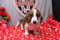 processed/9e6cb589-a66f-4f74-b7de-ec4f6e49bef0/listing/1bcf2836-336f-41dc-a7ab-b477e1104ceb/7456eb96-e38a-4e81-b2ec-0d45ff3e4fd7