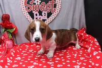 processed/9e6cb589-a66f-4f74-b7de-ec4f6e49bef0/listing/1bcf2836-336f-41dc-a7ab-b477e1104ceb/ae34c3cc-99f4-4044-bbf2-e1ae160f2c11