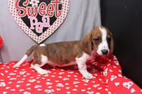 processed/9e6cb589-a66f-4f74-b7de-ec4f6e49bef0/listing/1bcf2836-336f-41dc-a7ab-b477e1104ceb/b368059e-a879-43f3-bca0-e5127477414e