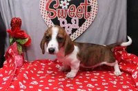 processed/9e6cb589-a66f-4f74-b7de-ec4f6e49bef0/listing/1bcf2836-336f-41dc-a7ab-b477e1104ceb/e157e8e1-e313-4911-91b7-44a554d661bd