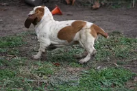 processed/9e6cb589-a66f-4f74-b7de-ec4f6e49bef0/listing/e6d67e25-8b3f-47e6-8150-2fb30378441d/140afd4e-dd87-4525-a17b-5774a353ab17