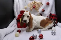 processed/9e6cb589-a66f-4f74-b7de-ec4f6e49bef0/listing/e6d67e25-8b3f-47e6-8150-2fb30378441d/172fe50d-fb3f-4cad-8e88-952bb825035c