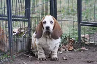 processed/9e6cb589-a66f-4f74-b7de-ec4f6e49bef0/listing/e6d67e25-8b3f-47e6-8150-2fb30378441d/2b331046-32d5-4008-a7cf-883b899ab546