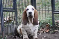 processed/9e6cb589-a66f-4f74-b7de-ec4f6e49bef0/listing/e6d67e25-8b3f-47e6-8150-2fb30378441d/8aba1d7a-1573-4cb0-bb5d-4132a01ac062