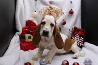 processed/9e6cb589-a66f-4f74-b7de-ec4f6e49bef0/listing/e6d67e25-8b3f-47e6-8150-2fb30378441d/cca57691-3989-491b-80ac-426f7647649c