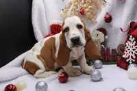 processed/9e6cb589-a66f-4f74-b7de-ec4f6e49bef0/listing/e6d67e25-8b3f-47e6-8150-2fb30378441d/f39d4f16-155f-4757-bd1b-922daff82988