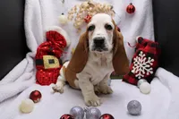 processed/9e6cb589-a66f-4f74-b7de-ec4f6e49bef0/listing/e6d67e25-8b3f-47e6-8150-2fb30378441d/fdc34e5e-e717-4709-b5bb-4c1411821bea