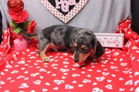 processed/9e6cb589-a66f-4f74-b7de-ec4f6e49bef0/listing/e97a195d-fcc9-48df-b1e0-a6ce64cae33b/1b55f027-5f0e-4f7e-895c-60bba9cac980