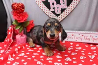 processed/9e6cb589-a66f-4f74-b7de-ec4f6e49bef0/listing/e97a195d-fcc9-48df-b1e0-a6ce64cae33b/3ae41f58-2c2c-45a9-b722-98395d375b79