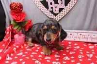 processed/9e6cb589-a66f-4f74-b7de-ec4f6e49bef0/listing/e97a195d-fcc9-48df-b1e0-a6ce64cae33b/b2c3149e-e467-4806-b1e7-b729c6342669