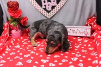 processed/9e6cb589-a66f-4f74-b7de-ec4f6e49bef0/listing/e97a195d-fcc9-48df-b1e0-a6ce64cae33b/c22a56a8-1d9b-4bb6-85eb-5fa20138144d