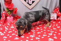 processed/9e6cb589-a66f-4f74-b7de-ec4f6e49bef0/listing/e97a195d-fcc9-48df-b1e0-a6ce64cae33b/f5672ed5-b445-429f-b51a-141d2390dd0e