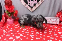 processed/9e6cb589-a66f-4f74-b7de-ec4f6e49bef0/listing/f8292642-7474-4456-ad67-9120be496119/2632b5c9-e0f5-4cb5-95be-e7bbefef459c