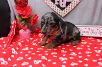 processed/9e6cb589-a66f-4f74-b7de-ec4f6e49bef0/listing/f8292642-7474-4456-ad67-9120be496119/42cb28b8-7e36-48cd-ae50-ff3166059b1b