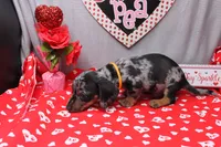 processed/9e6cb589-a66f-4f74-b7de-ec4f6e49bef0/listing/f8292642-7474-4456-ad67-9120be496119/80b3f8b4-c319-45b1-8d1e-fa98e99aaa45