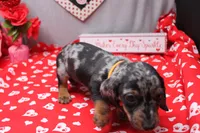 processed/9e6cb589-a66f-4f74-b7de-ec4f6e49bef0/listing/f8292642-7474-4456-ad67-9120be496119/825ec357-aa7f-42da-a85a-da2716613153