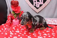 processed/9e6cb589-a66f-4f74-b7de-ec4f6e49bef0/listing/f8292642-7474-4456-ad67-9120be496119/85f6fadd-142f-46cd-ad3e-5ce50748b003