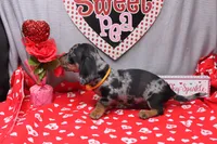 processed/9e6cb589-a66f-4f74-b7de-ec4f6e49bef0/listing/f8292642-7474-4456-ad67-9120be496119/c9073f8d-cee1-464c-873d-1db1d8bd0860