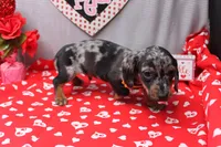 processed/9e6cb589-a66f-4f74-b7de-ec4f6e49bef0/listing/f8292642-7474-4456-ad67-9120be496119/d0f1a723-d16c-42d5-9499-bd72da3c4bb4