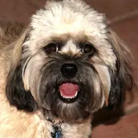 processed/9e712c86-848b-4661-a803-5b8494bb45b2/facility/13f0fed3-9315-4105-a3cf-a8aa3d0091ba