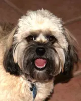 processed/9e712c86-848b-4661-a803-5b8494bb45b2/facility/13f0fed3-9315-4105-a3cf-a8aa3d0091ba