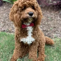 processed/9e712c86-848b-4661-a803-5b8494bb45b2/facility/445fef2f-ddc8-4e6c-853a-215c2f8ed6bc