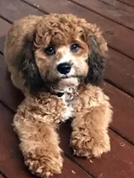 processed/9e712c86-848b-4661-a803-5b8494bb45b2/facility/5485b458-681f-458f-9f4a-f7c791456690