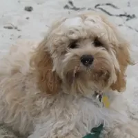 processed/9e712c86-848b-4661-a803-5b8494bb45b2/facility/7dfc44fe-341b-4515-be83-52628bb73104