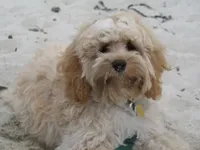 processed/9e712c86-848b-4661-a803-5b8494bb45b2/facility/7dfc44fe-341b-4515-be83-52628bb73104